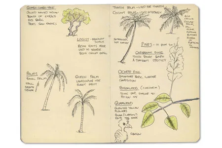 Moleskine Sketch Journal from Belize