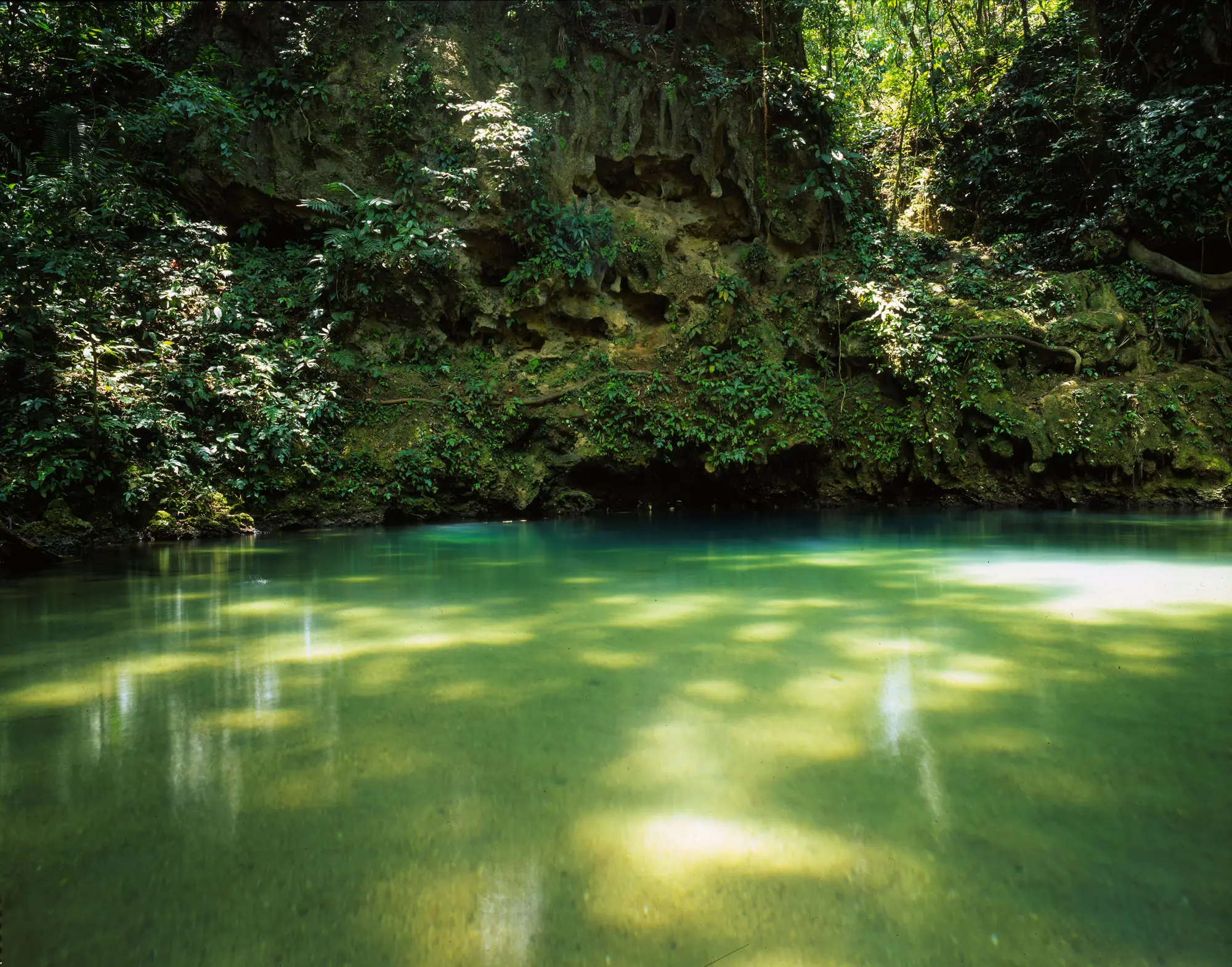 Sunlight dappling the clear green water of the Blue Hole beneath a jungle cliff in Belize.