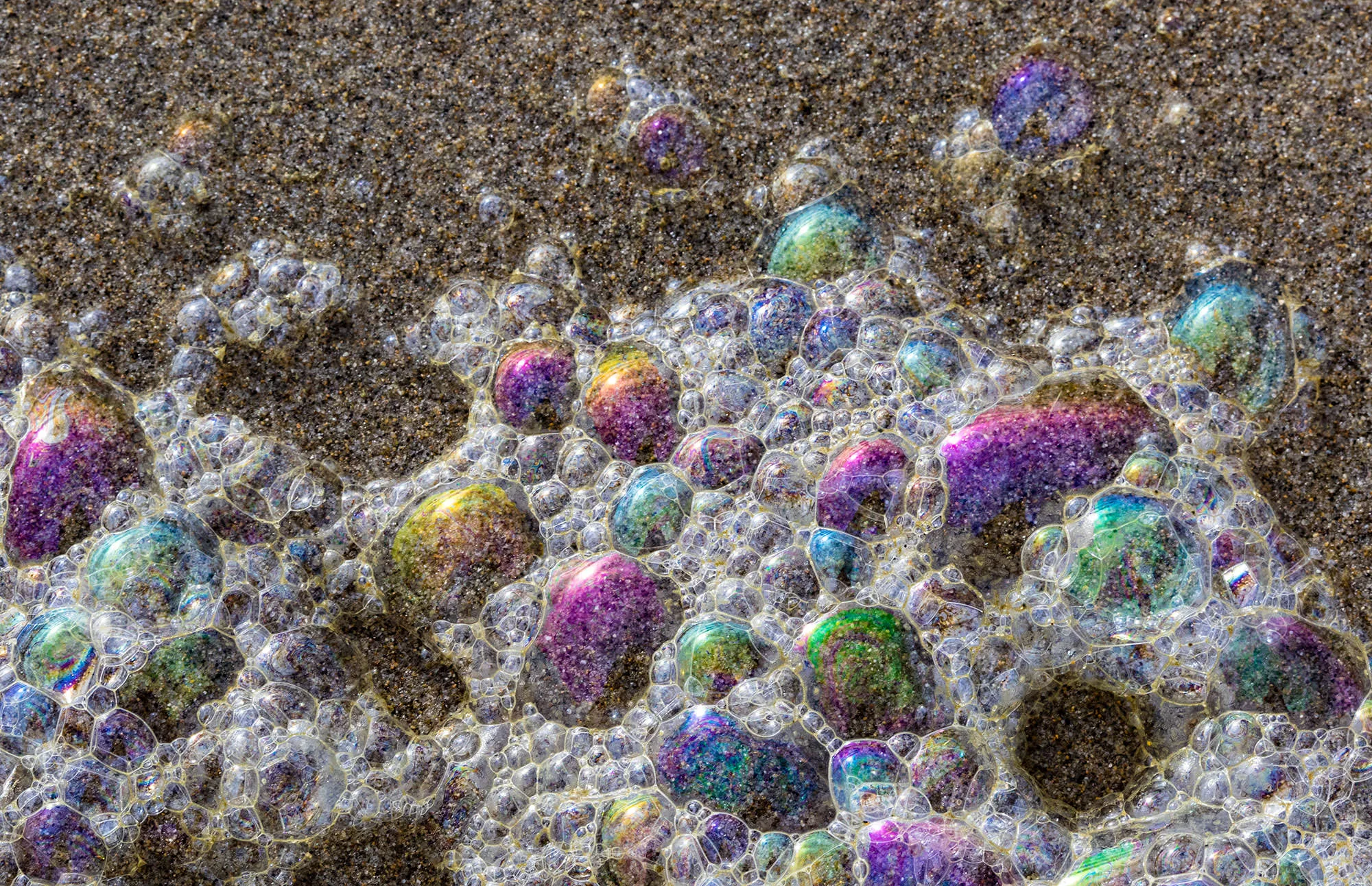 Colorful bubbles on the Bandon to Port Orford trail coast