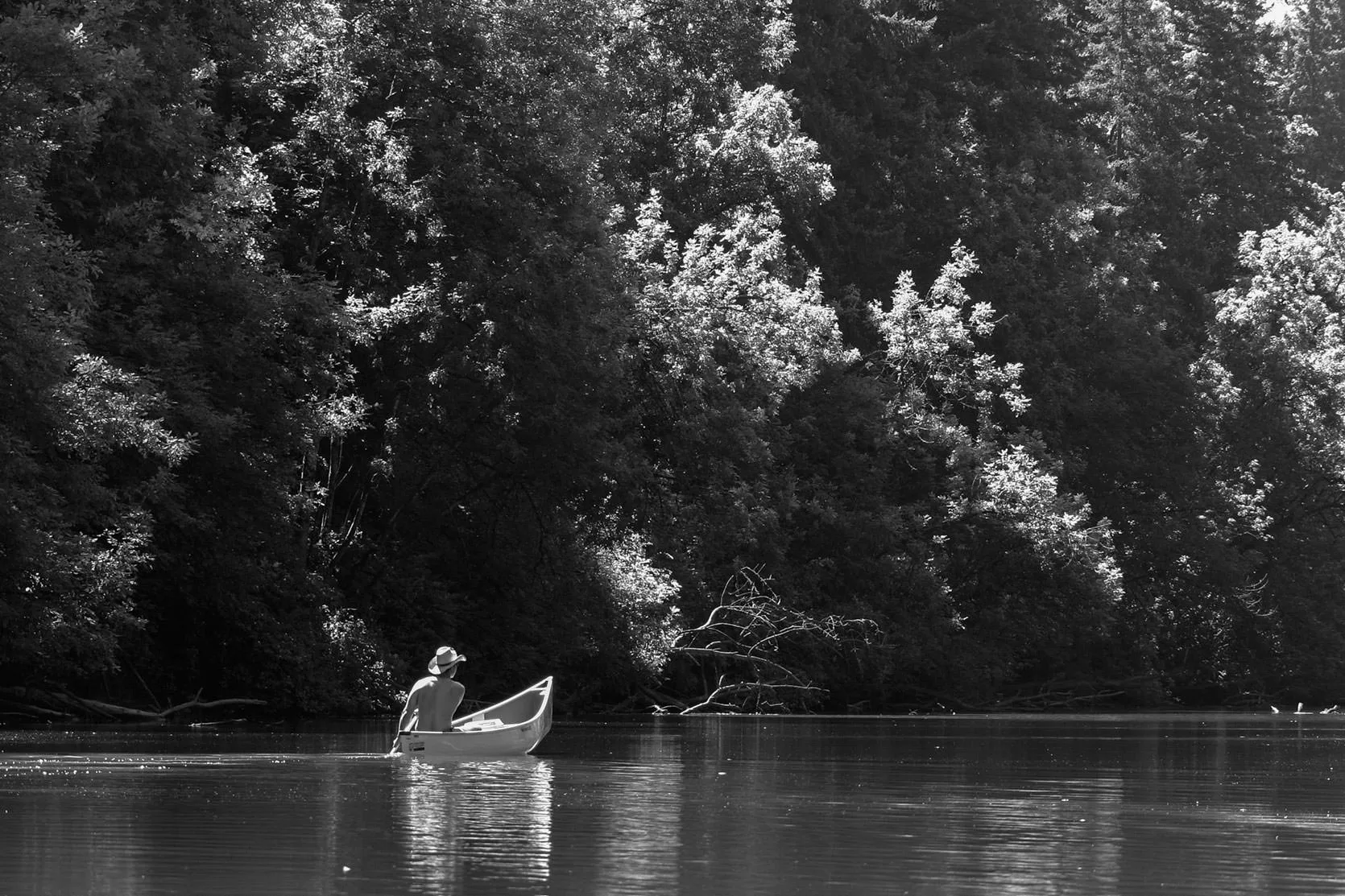A canoeist in a straw hat paddling a calm, forest-lined stretch of the Tualatin River, in black and white
