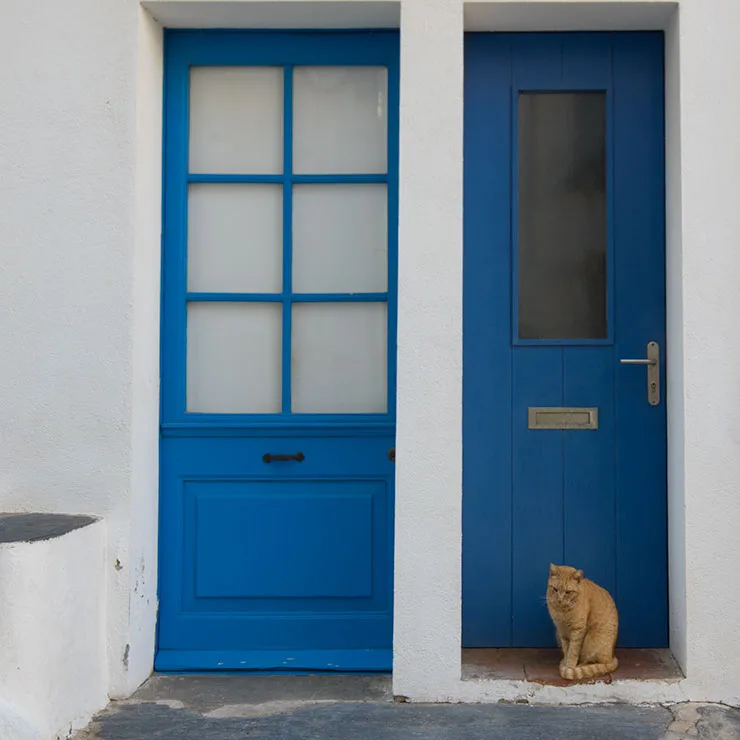 Street cat in the whitewashed coastal town of Cadaques, Spain, where strays are protected in the tradition of Salvador Dalí's love of cats.