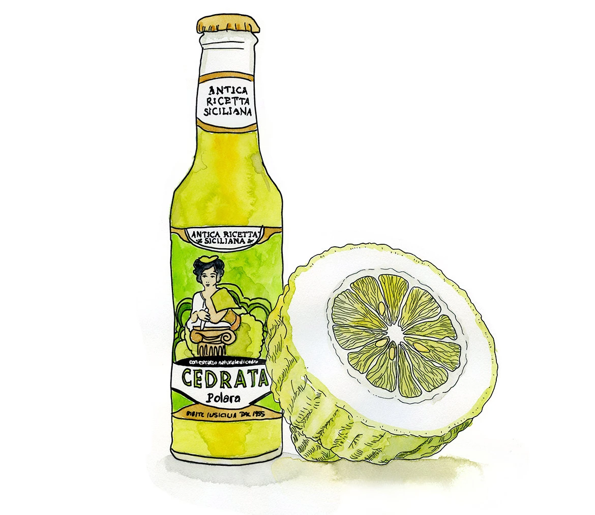 Watercolor and liner pen sketch of a bottle of Sicilian Cedrata soda beside a citron cut in half, showing its thick rind and very little flesh