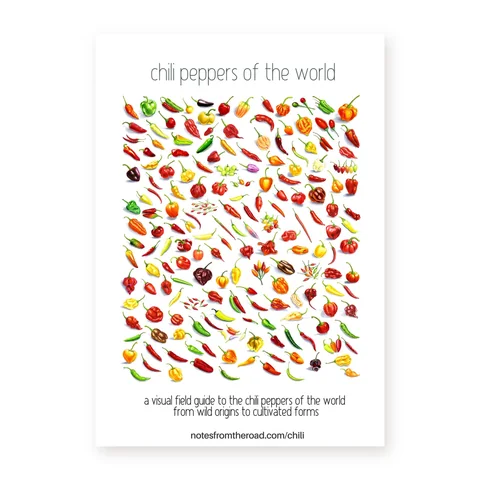 The Chili Peppers of the World poster, rows of illustrated peppers on white