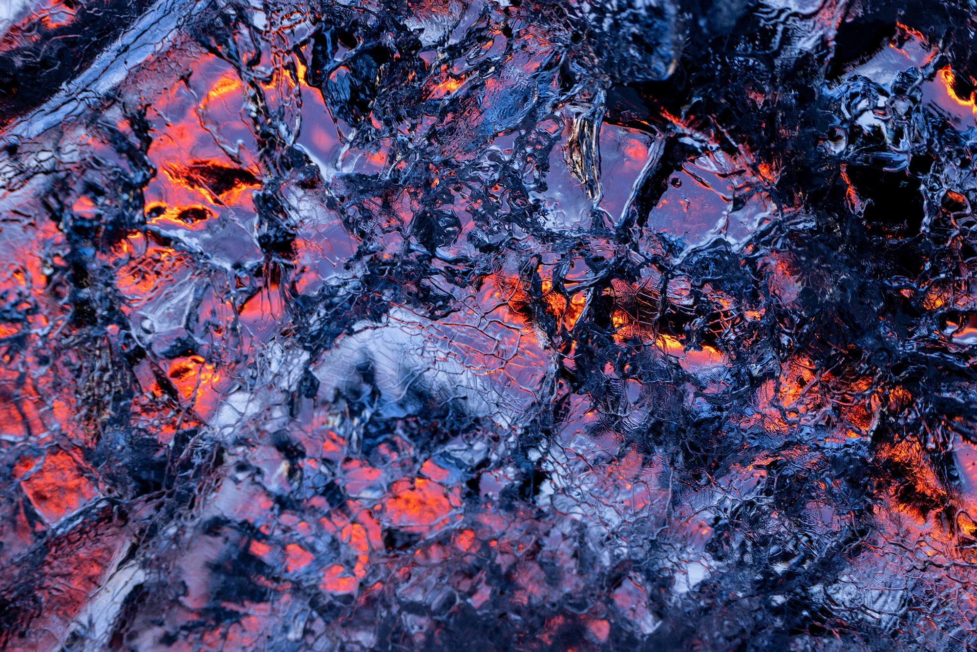 Cracked sea ice and pressure ridges under gray light, representing the gap between anecdote and long-term polar bear population data.