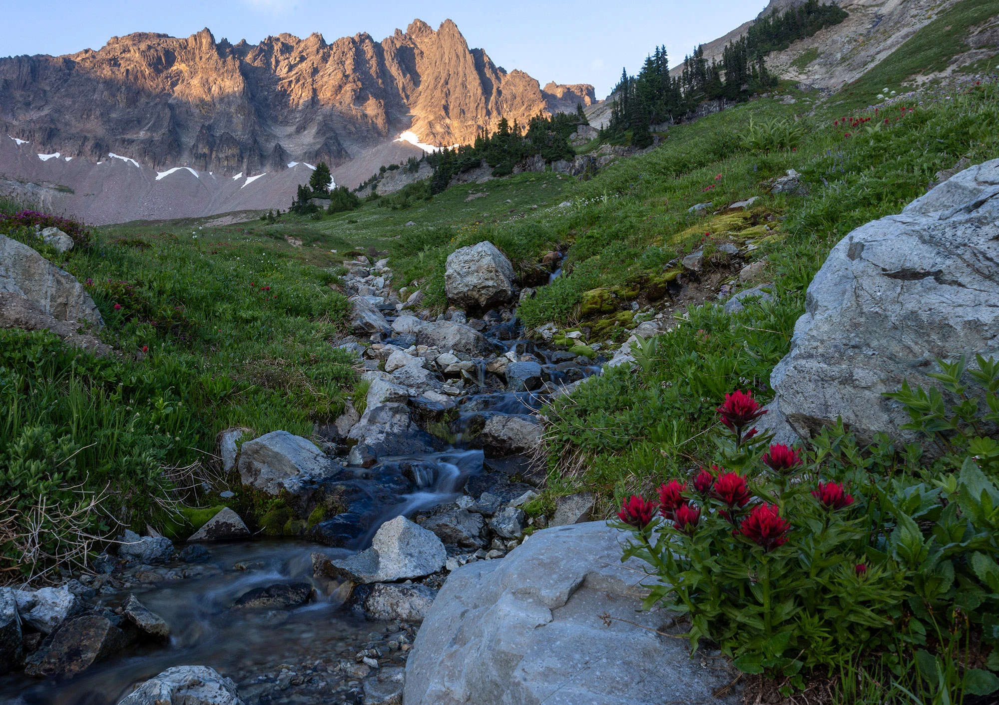Looking into Cispus Basin in Washington's Goat Rocks Wilderness, where alpine meadows spill down glacial valleys beneath craggy ridgelines. Late summer snowfields dot the upper slopes under a silver sky.
