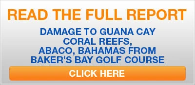Bakers Bay Report