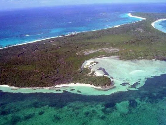 Damage to coral reefs