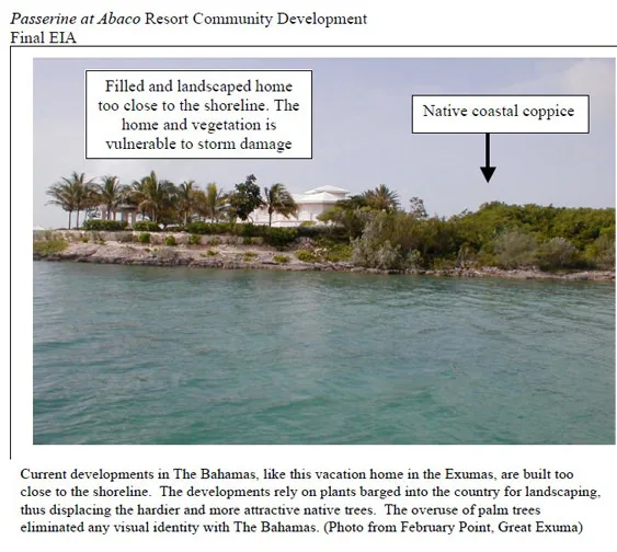 Coastal Buffer Farce