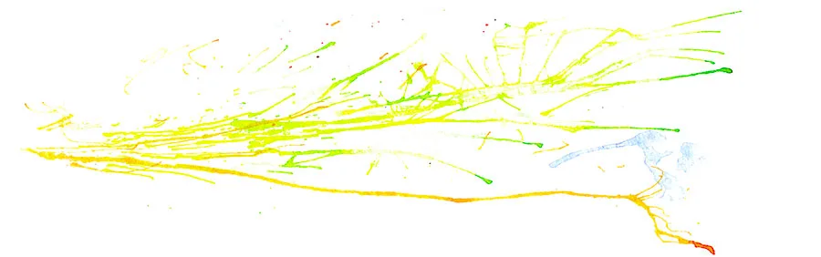 Watercolor abstraction of a Comes a Time jam, sweeping strokes of lime green and yellow fanning out like grass.
