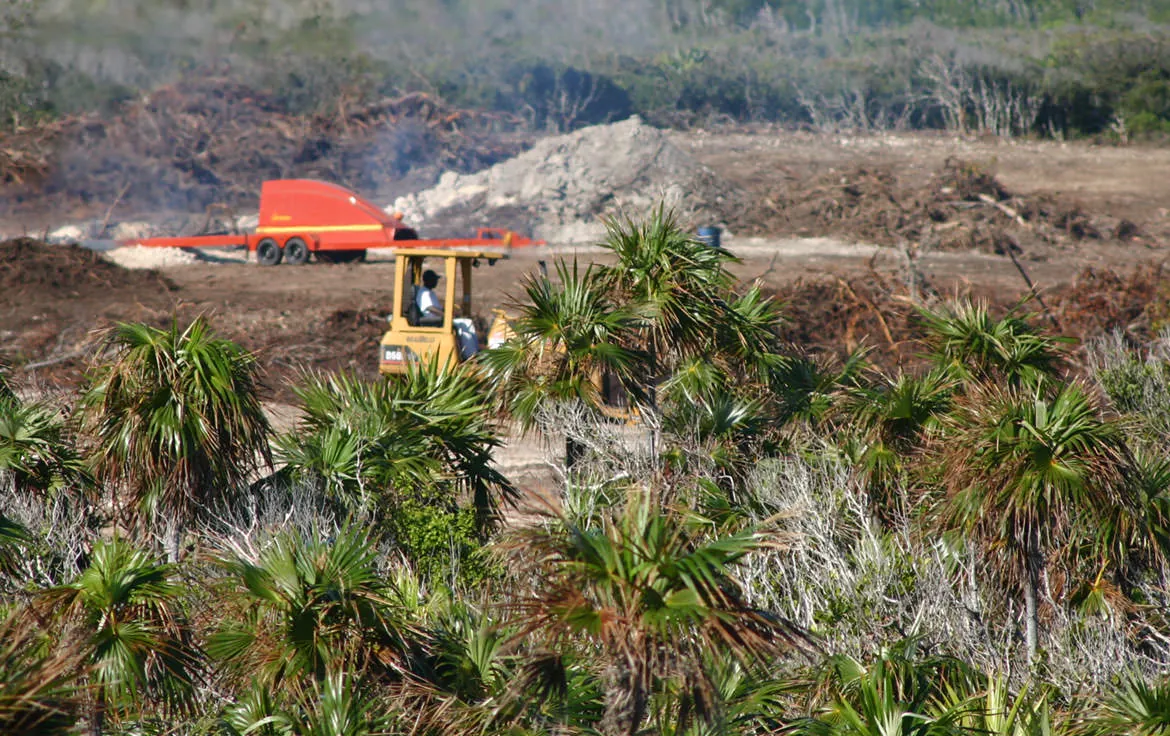 A bulldozer clearing mangroves and coastal scrub at the Bakers Bay construction site on Great Guana Cay.