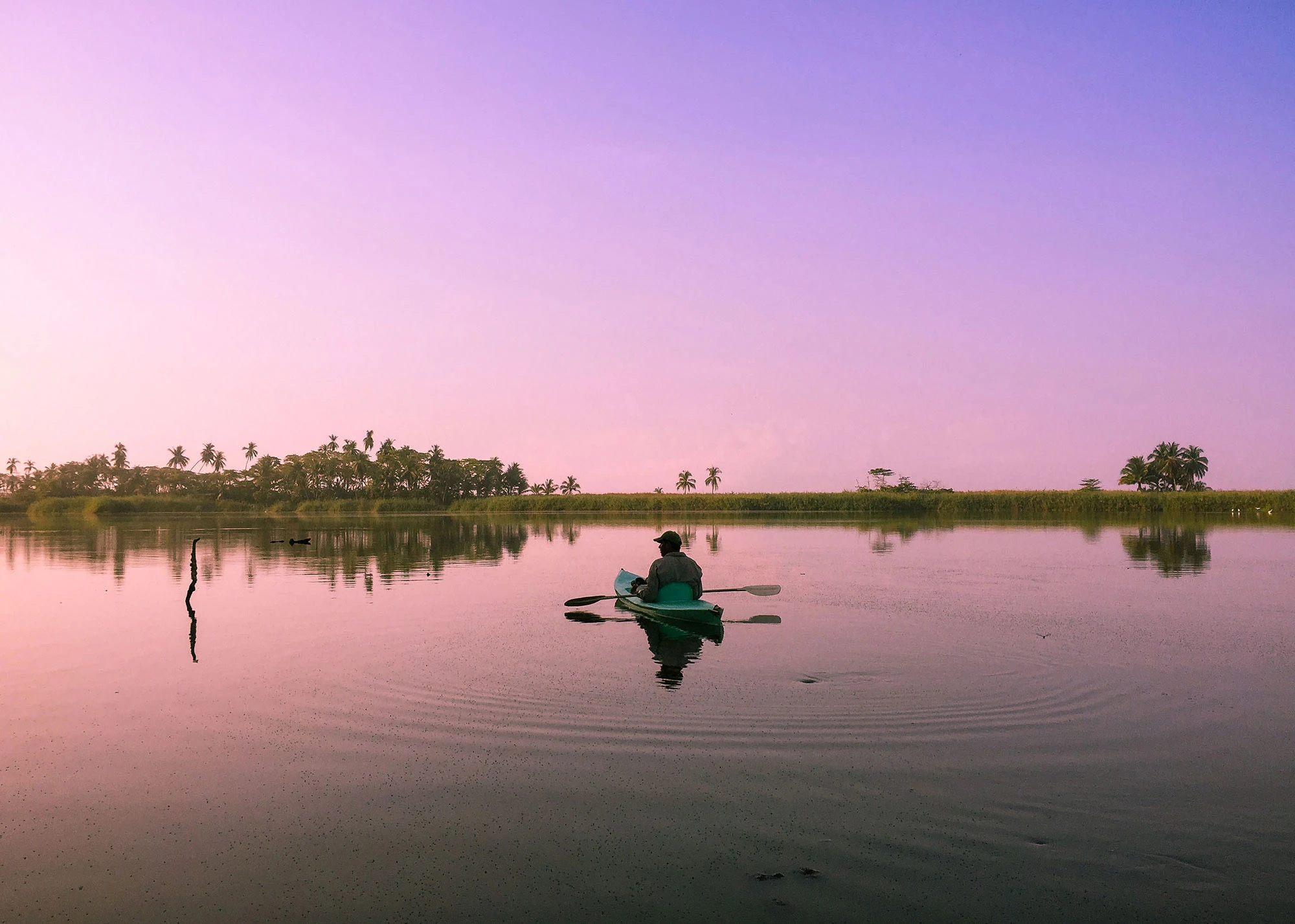 Rainforest lagoon in Costa Rica surrounded by lush green vegetation