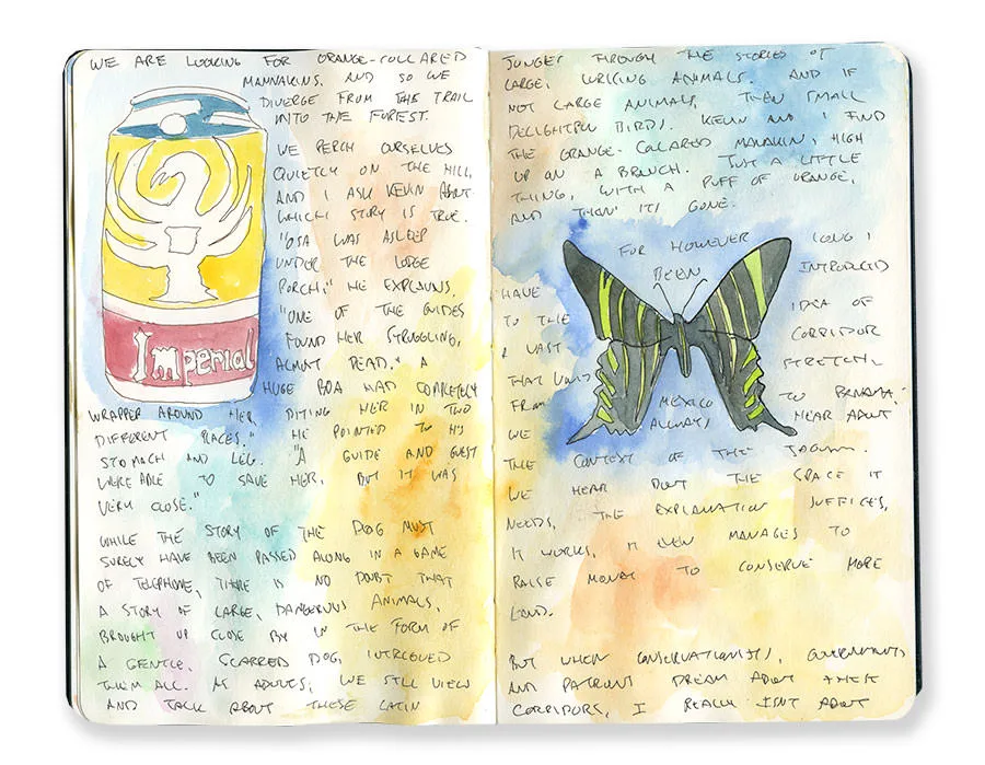 Costa Rica sketchbook spread with a can of Imperial beer and a swallowtail butterfly, with handwritten notes.
