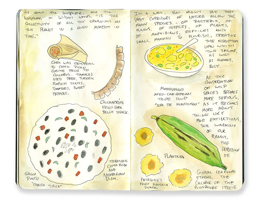Costa Rica sketchbook spread of local dishes, including gallo pinto, a tamal, a plantain and soup, with handwritten notes.