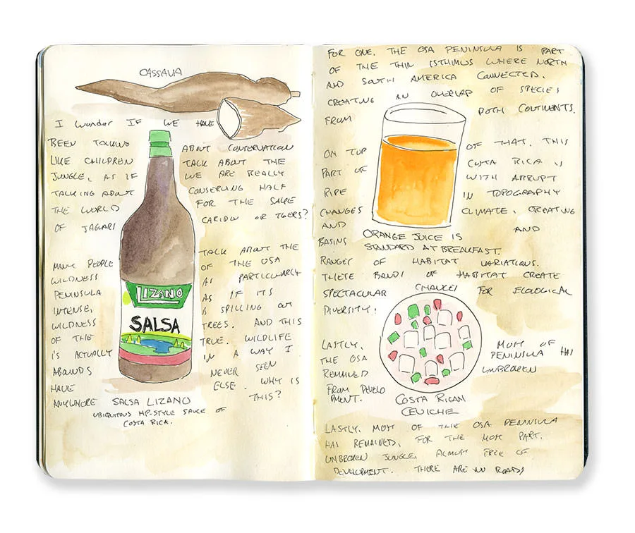 Costa Rica sketchbook spread with a bottle of Salsa Lizano, a glass of juice and ceviche, with handwritten notes.