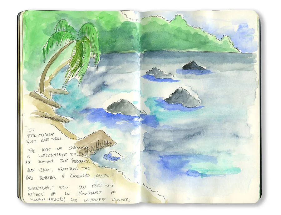 Costa Rica sketchbook spread of a watercolor coastline with palms and dark rocks on the Osa Peninsula, with handwritten notes.