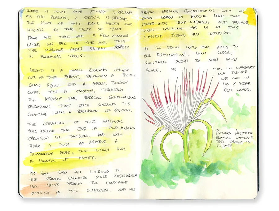Costa Rica sketchbook spread with a flowering plant in a tropical wetland, with handwritten notes.