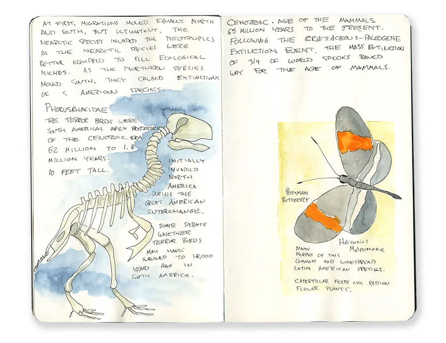 Costa Rica sketchbook spread with a skeleton of an ancient terror bird and a butterfly, with handwritten notes.