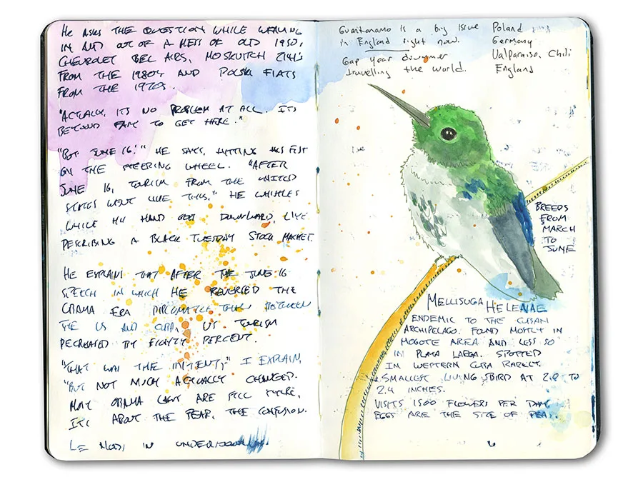 Cuba sketchbook spread with a bee hummingbird (Mellisuga helenae) and handwritten notes.