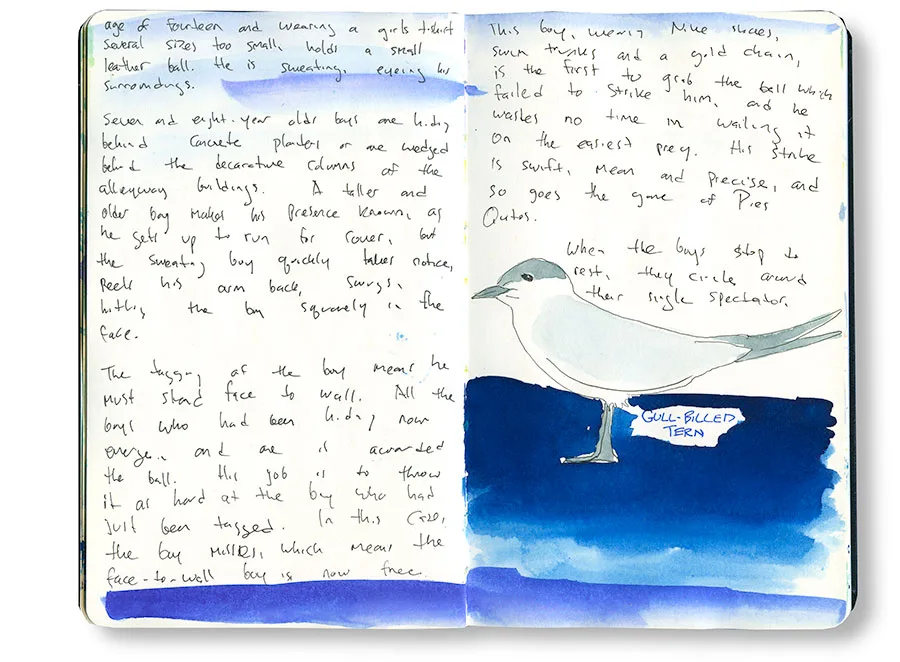 Cuba sketchbook spread with a gull-billed tern over blue water and handwritten notes.