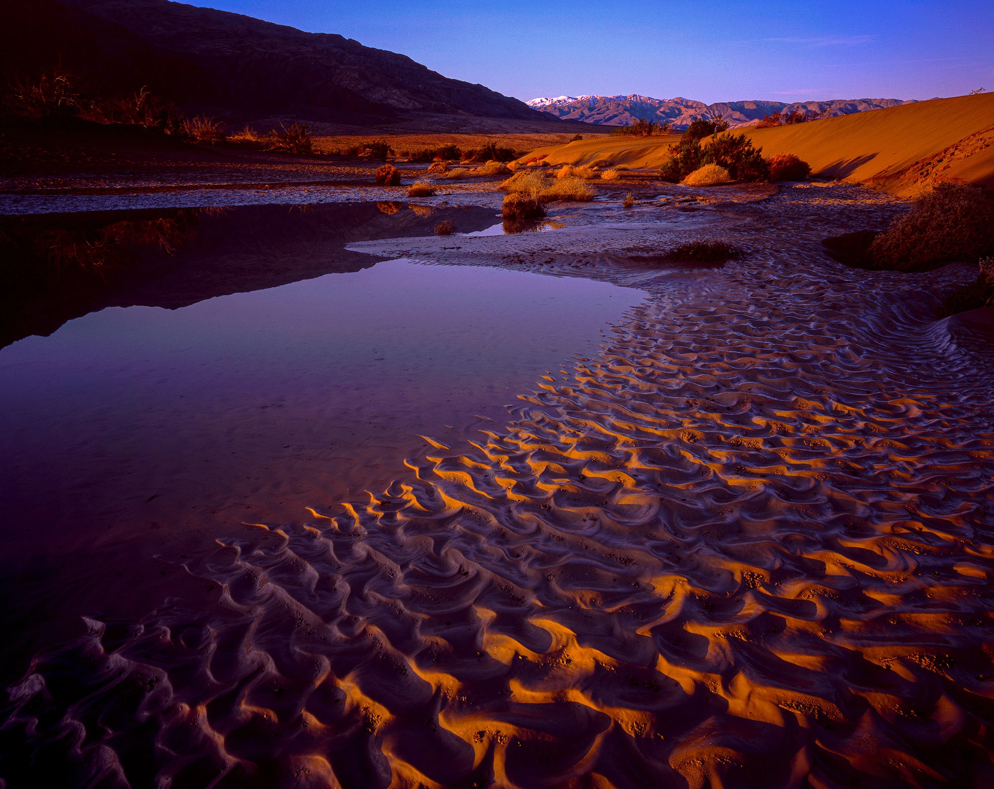 Ephemeral water reflecting dunes and mountains at sunset in Death Valley, with rippled sand glowing orange and purple