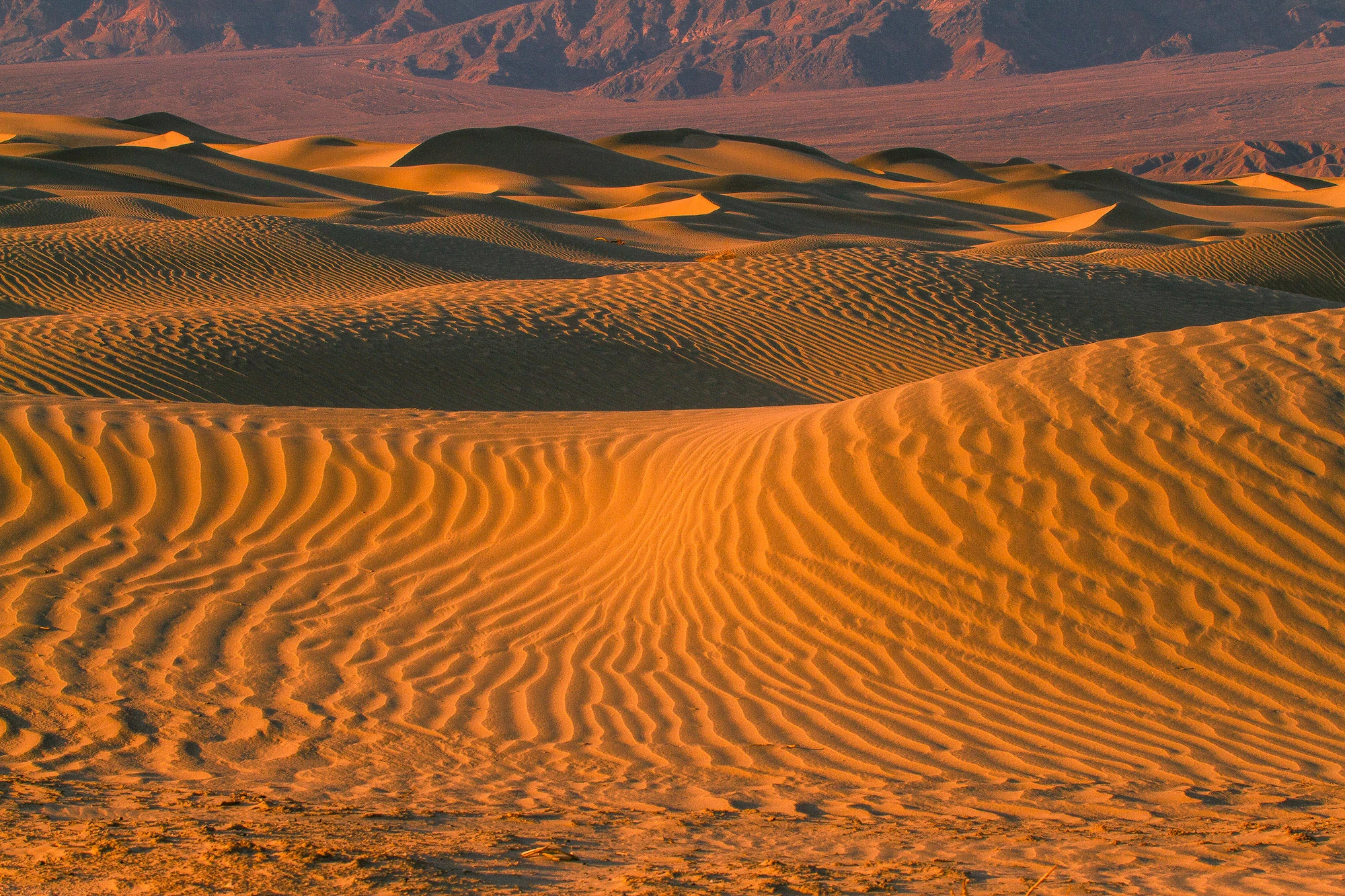 Golden sand dunes ripple across Death Valley at sunset, with layered ridges catching warm light against a backdrop of distant mountains.