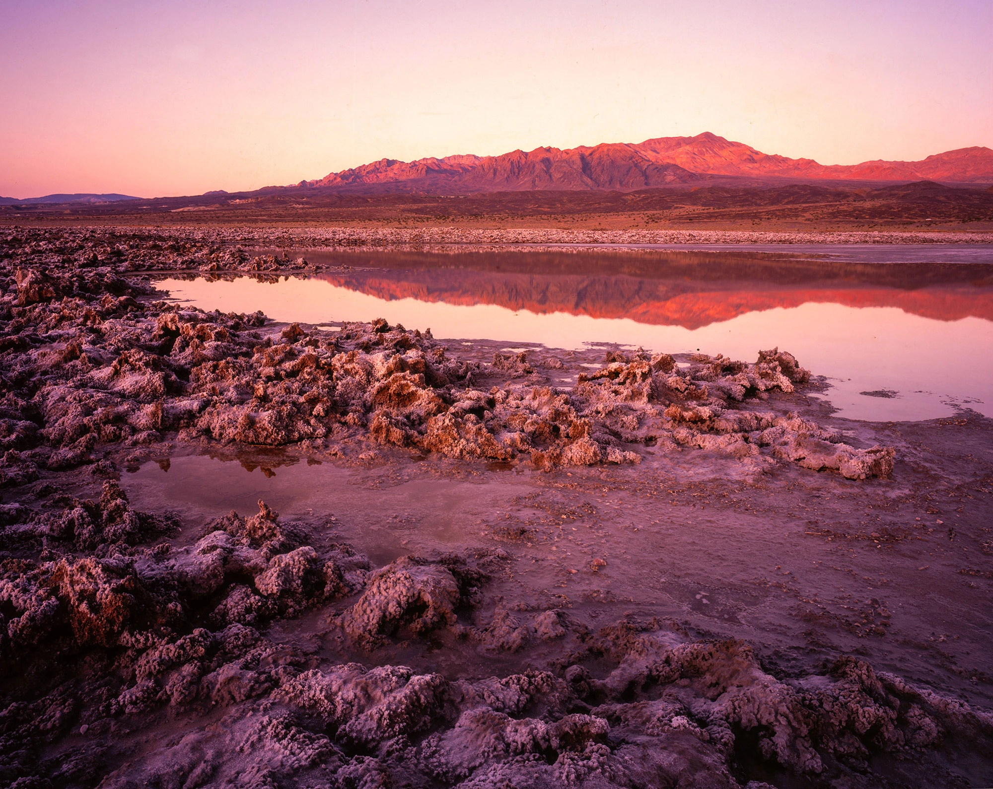 Salt-encrusted formations and shallow pools reflect pink sunrise light across the flooded playa of Death Valley after rare rains, a temporary landscape that echoes the fragile habitats sustaining desert pupfish.