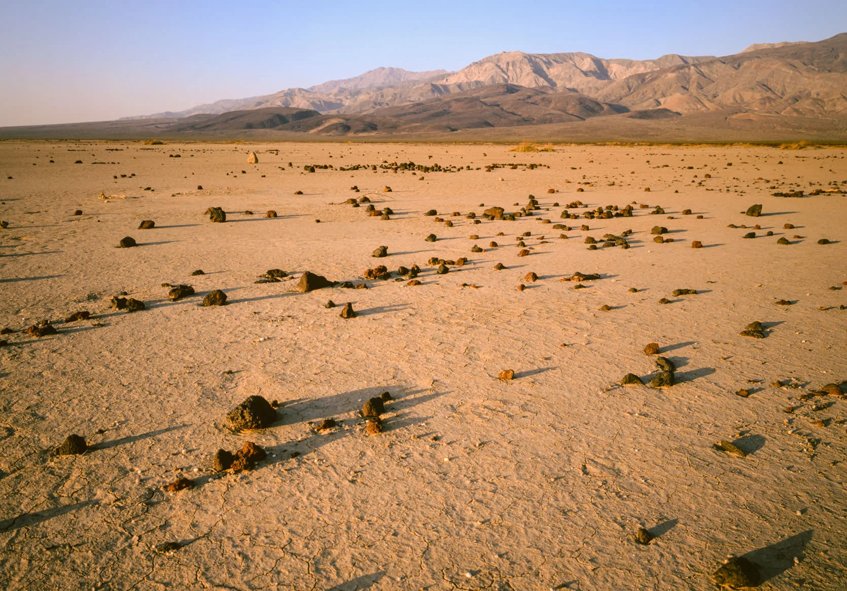 A flat desert playa scattered with dark volcanic rocks below the Panamint Range at golden hour