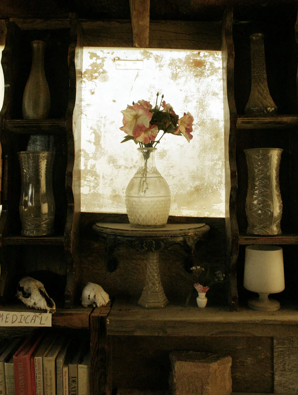 A dim shelf of glass vases, animal skulls and old books around a vase of faded flowers before a scratched mirror