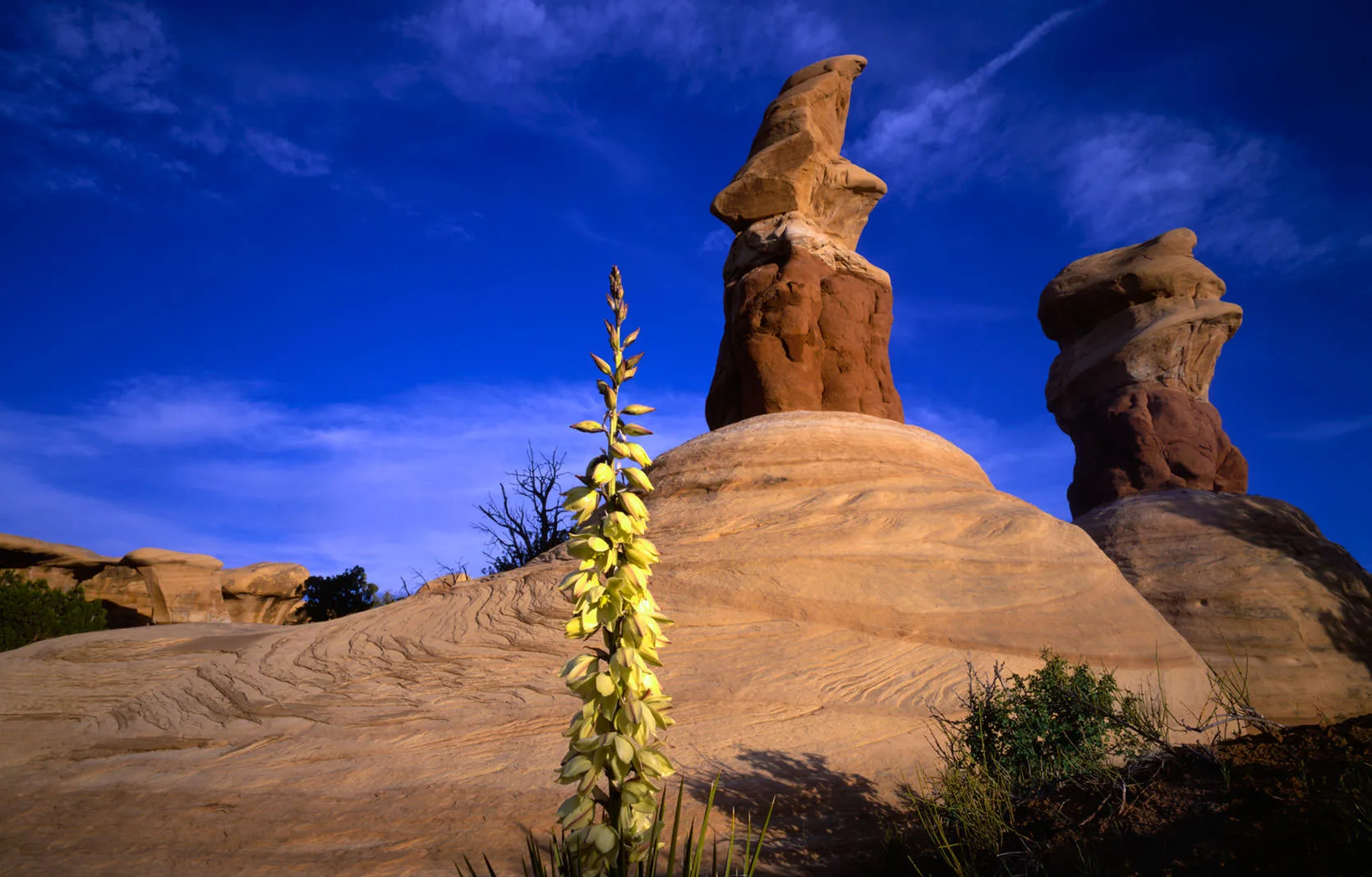 Devil's Playground Spires