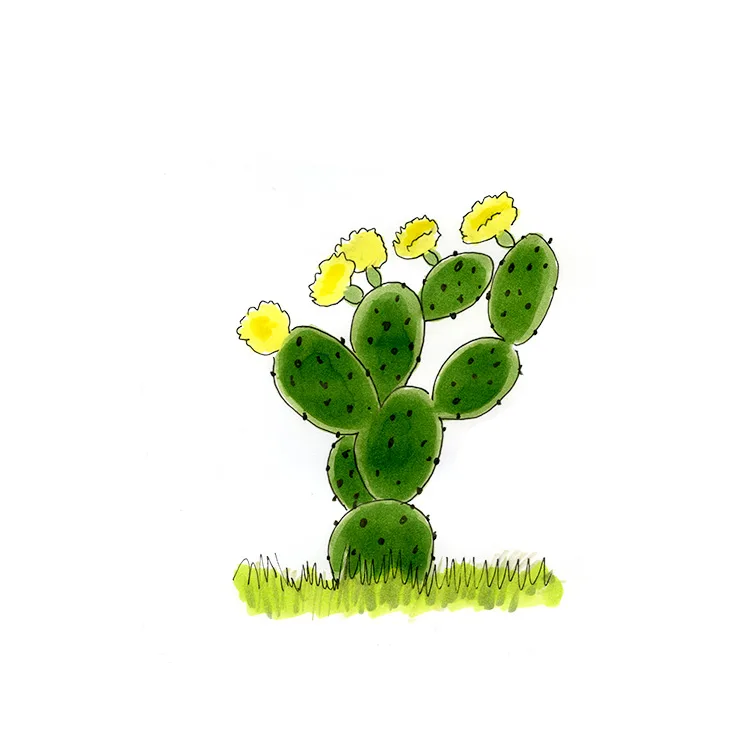 Watercolor illustration of a devil's tongue (Opuntia austrina), a few green pads with yellow flowers rising from grass.