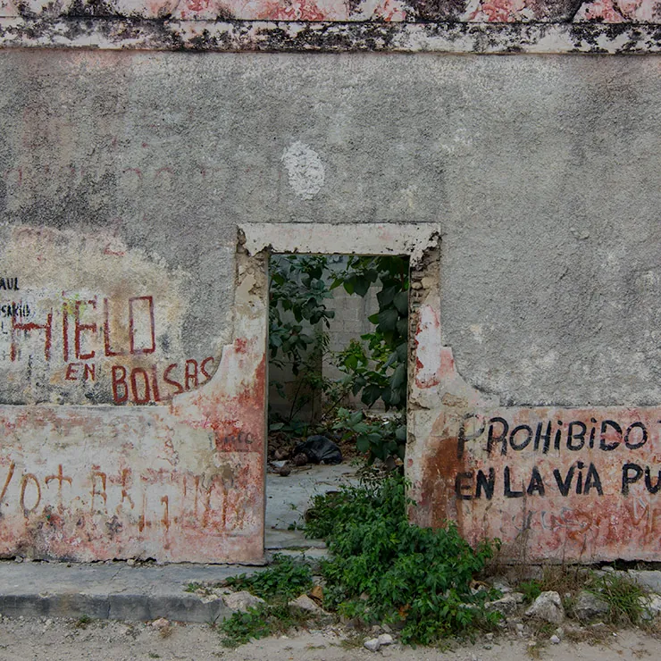 This abandoned beach property in downtown Celestun is filled with the color of age, decay and graffiti
