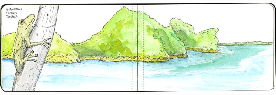 Dominican Republic watercolor sketch