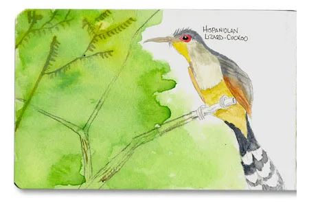 Moleskine Sketch Journal from the Dominican Republic