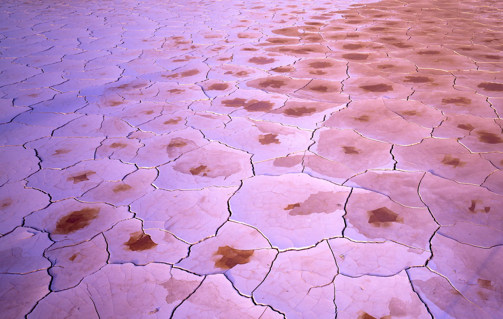 Geometric Structures in the Desert