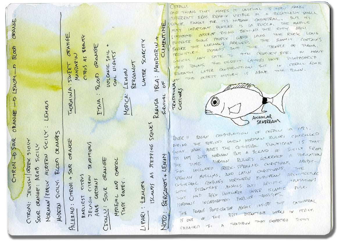 Watercolor and ink journal pages from eastern Sicily