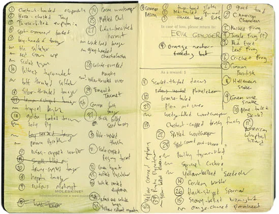 El Valle Bird Species Notes