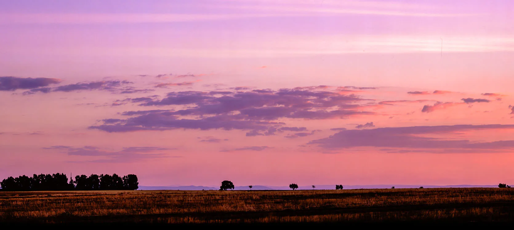 Plains of Andalucia