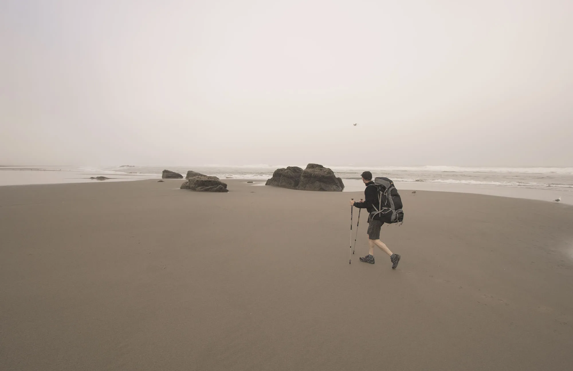 Face Rock in Bandon