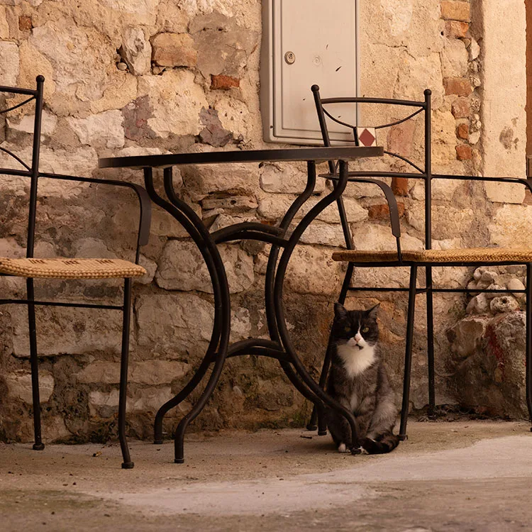 Fluffy long-haired cat in the old town of Rovinj, on Croatia's Istrian peninsula.