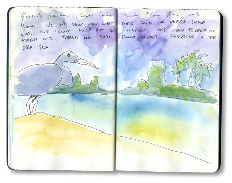 Pacific reef heron sketched on site between motus in Tikehau