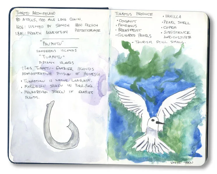 A rough sketch of a white tern and Polynesian fish hook from my sketchbook