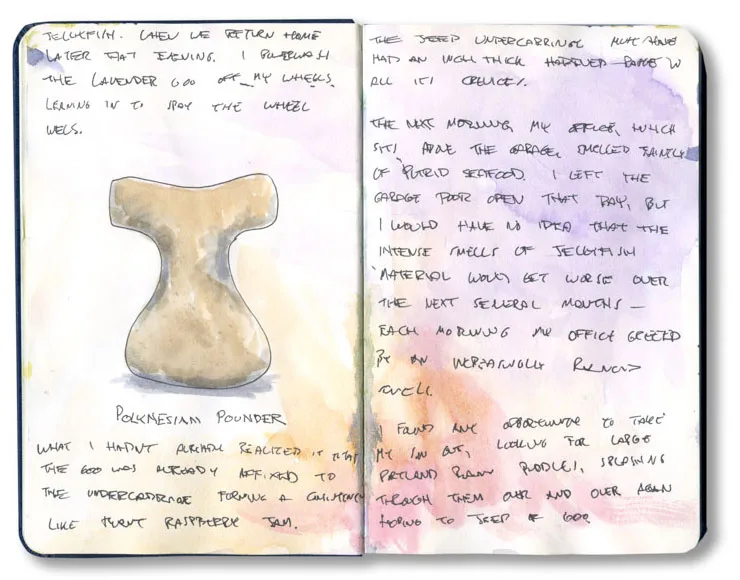 Sketch of a Polynesian stone pounder, used to mash breadfruit and taro