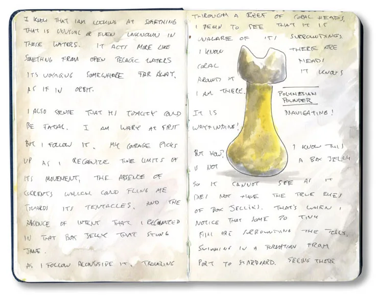 Sketchbook spread with a quick yellow sketch of a Polynesian pounder and handwritten notes on following the mosaic jellyfish.