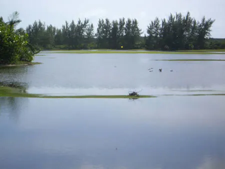 A flooded golf course fairway turned into a wide sheet of water at the Four Seasons, Great Exuma.