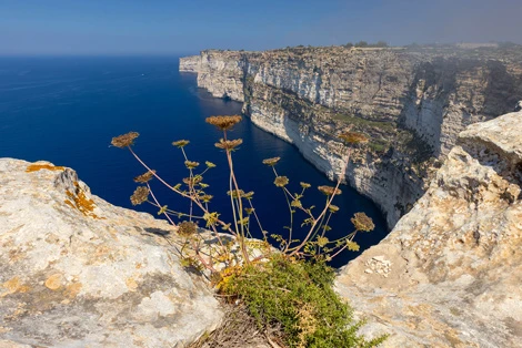 Ghar Lapsi on Malta