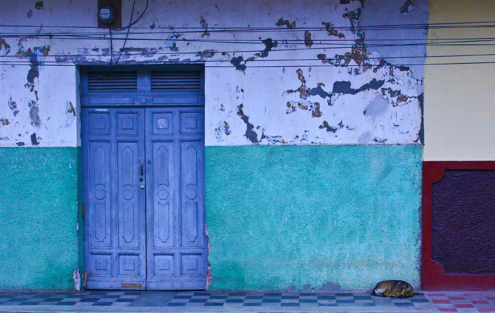 A weathered blue door in a green-and-white wall with a dog sleeping on the tiled sidewalk, Granada