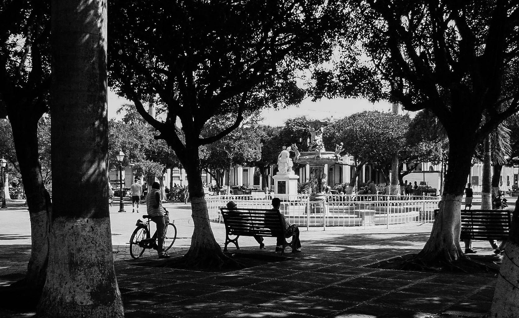 Granada's central park in black and white, people resting on benches under broad shade trees around the fountain
