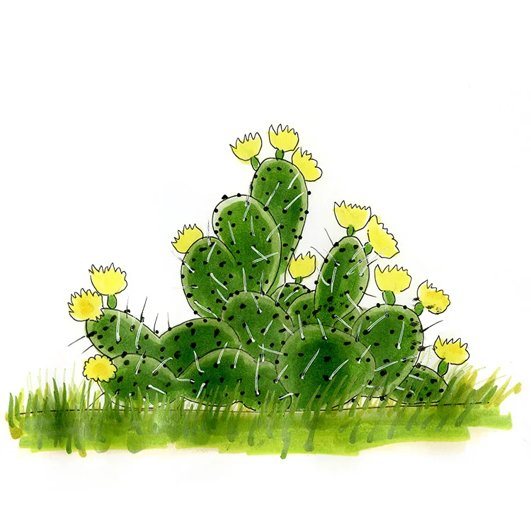 Watercolor illustration of a grassland pricklypear (Opuntia cymochila), a spreading clump of pads with yellow flowers in grass.