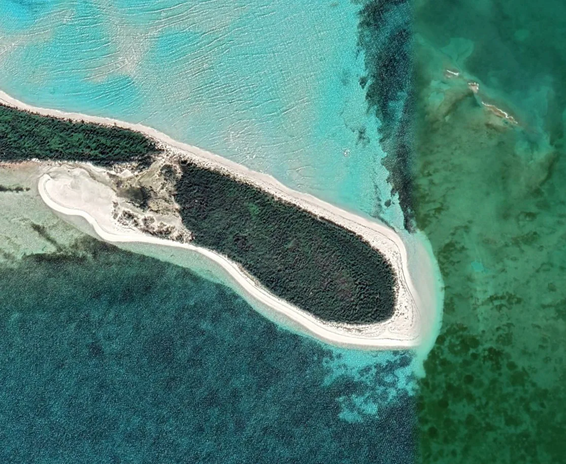 Aerial view of a mangrove-and-sand spit reaching into turquoise shallows near Green Turtle Cay, the Bahamas