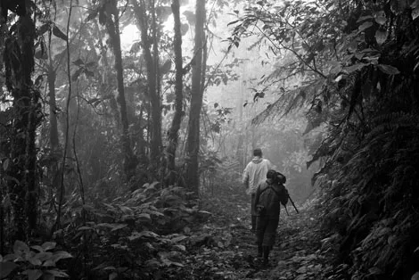 Guacamayos Ridge Trail